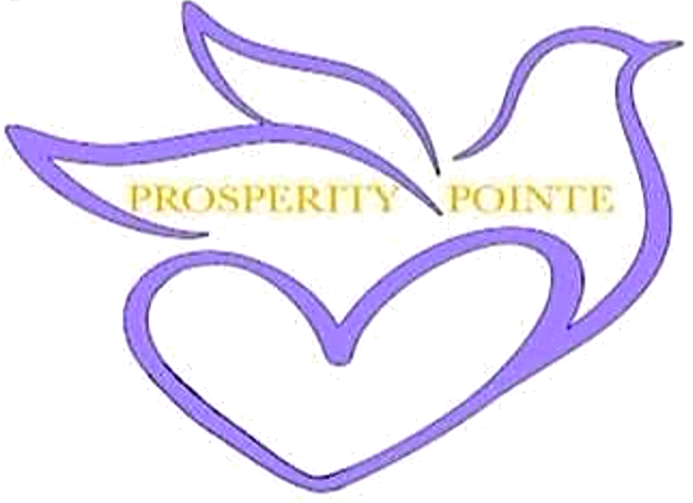 Prosperity Pointe LLC logo